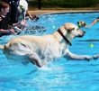 Making a Splash in Tuscaloosa